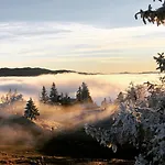La Croisee Des Chemins Premier
