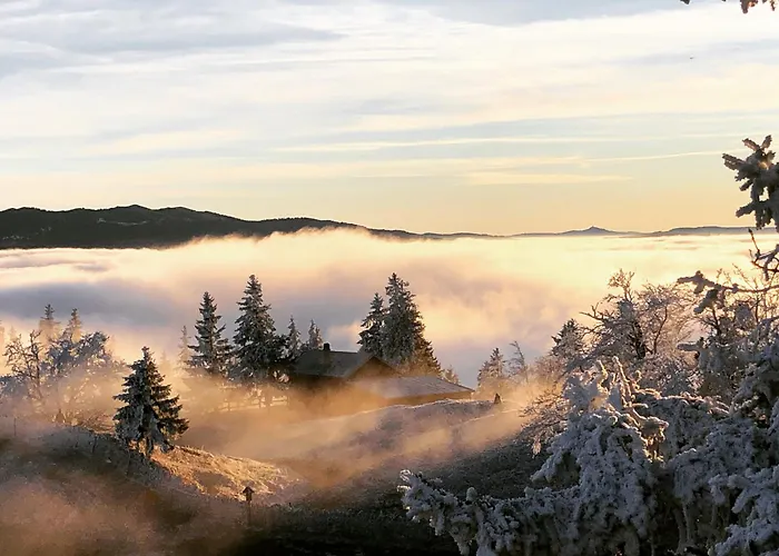 La Croisee Des Chemins Premier