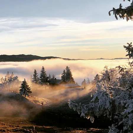 La Croisee Des Chemins Premier